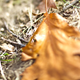 Image for article titled Shooting Challenge Freelensing Gallery 2